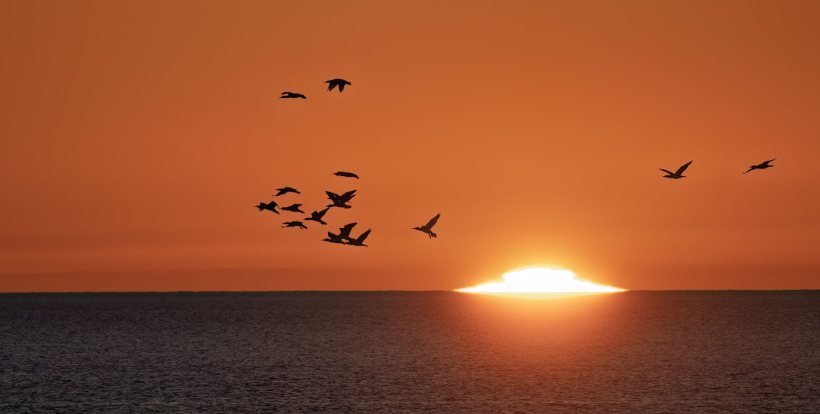 sunrise
