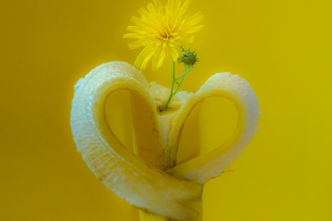 Pirjo Uimonen - Banaanin kukka