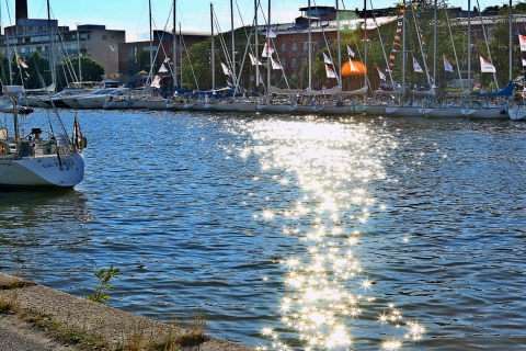 2.-Luomu-Swan-regatta-Harri-Huittinen