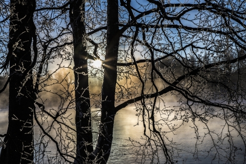 3.-Luomu-Kirpakka-keli-Jari-Lappalainen
