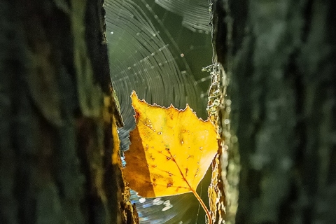 Välitilassa