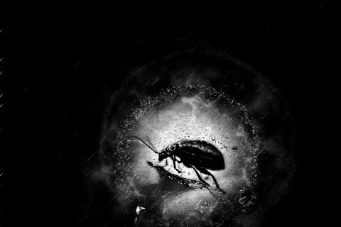 Matti-Uimonen-Musta-sade