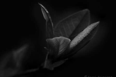 Harri-Huittinen-Heinola-2017-05-Z_0011-m-v-9-4500x3400