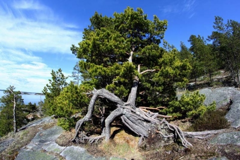 Kari-Utti-Kari-13