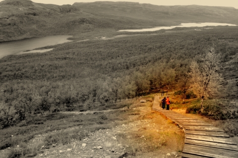 Aaro Rantanen - Portaat