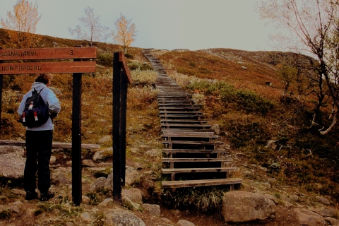 Aaro Rantanen - Portaat