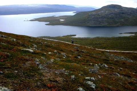 Aaro Rantanen - Portaat