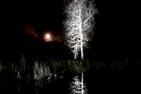 Yön valkoinen - Pirjo Uimonen