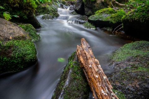 3-Sataojan-sademetsa