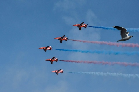 Jouko Santala - Lento