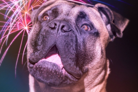 Jari Lappalainen - Säikky