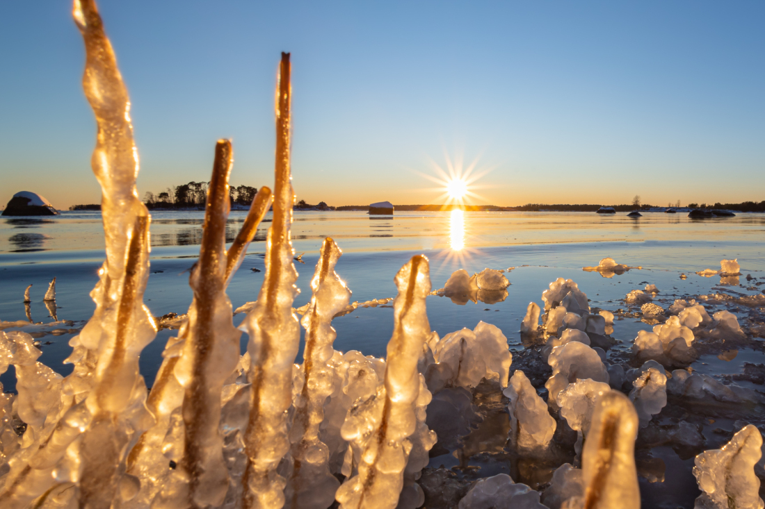 6_Kevatta_kohti_Annette_Thome