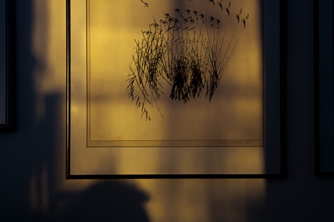 Pentti Pitkälahti - Varjoja