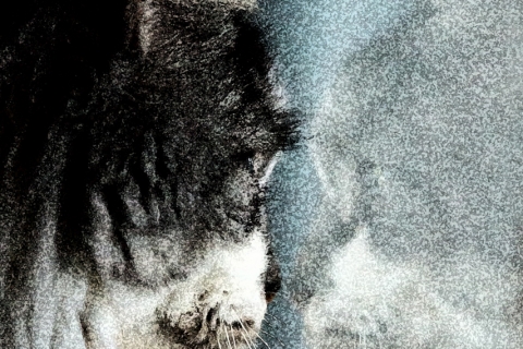 Hannele Aalto - Minäkö se oon