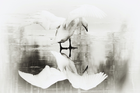 Jari Lappalainen - Kuvastus