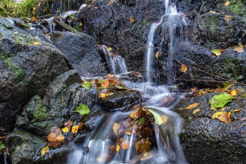 Heikki-Pulkkinen-Syksyä