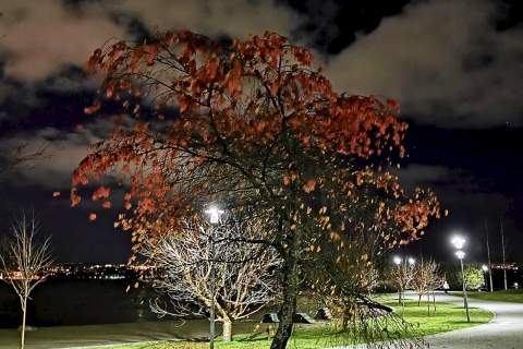 Markku-Rantanen-IMG_20191029_182811_Original