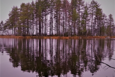 Tiina-Bragge-IMG_20181110_100128-3