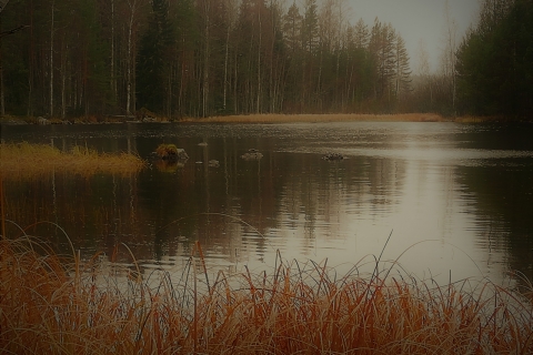 Tiina-Bragge-IMG_20181110_100723-2