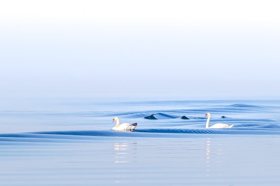 Pirjo Uimonen - Aamu merellä
