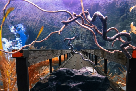 Heikki Pulkkinen - Unikuvia