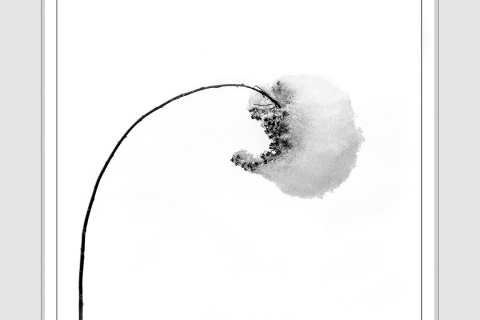 Tuula Pitkälahti - Kumarrus