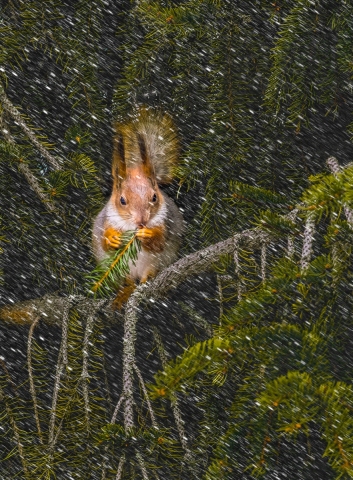 009-Pirjo-Uimonen-Pyryssa