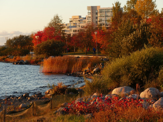 Markku Rantanen - Punainen rantabulevardi
