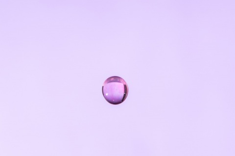 Harmonia