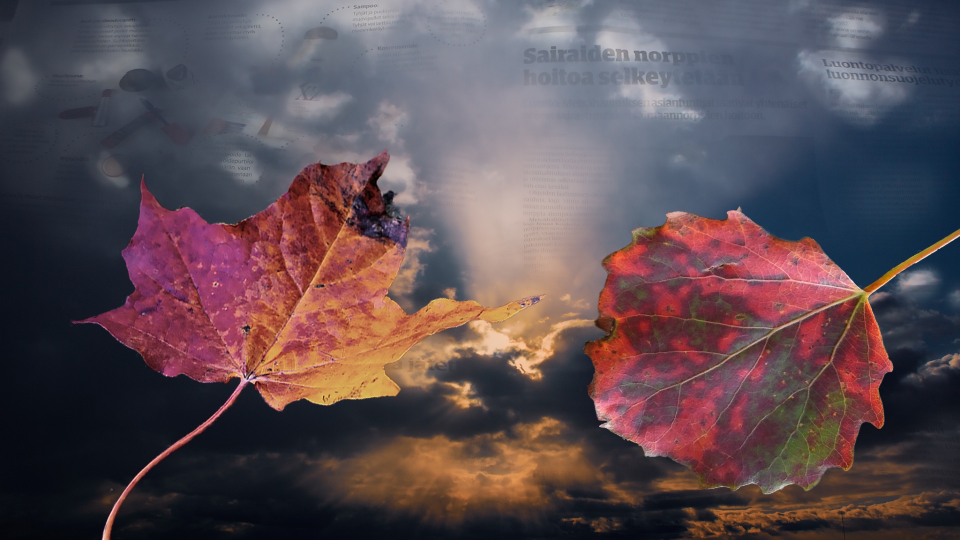 Heikki Pulkkinen - Lehdet